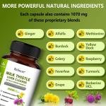 Balincer Milk Thistle Grass Capsule
