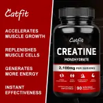 Catfit Creatine Monohydrate Capsules 3000mg