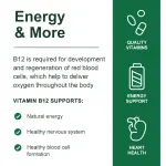 Catfit Vitamin B12 500mcg Capsules