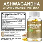 Coolkin Ashwagandha Extract Capsules