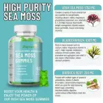 Daynee Sea Moss Gummies