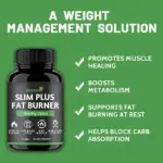 Daynee Slim Plus Fat Burner