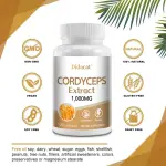 Didacat Cordyceps Extract 1000mg Capsules