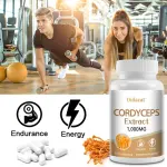 Didacat Cordyceps Extract 1000mg Capsules