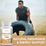 Didacat Cordyceps Extract 1000mg Capsules