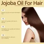 Eelhoe Jojoba Oil Hair Care