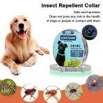 Flea & Tick Collar – Luminous, 8-Month Protection, Adjustable for Dogs & Cats