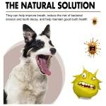 Pet Tooth Cleaning Spray – Oral Care, Tartar Prevention, Freshens Breath