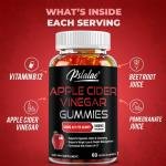 Pslalae Apple Cider Vinegar Gummies