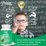 Pslalae Ginkgo Biloba 500 Mg