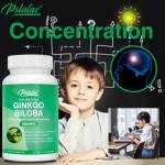 Pslalae Ginkgo Biloba 500 Mg