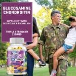 Pslalae Glucosamine Chondroitin