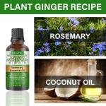 Rosemary Hair Growth Oil 30ML – Anti-Frizz, Anti-Hair Loss, Nourish & Shine