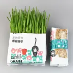 Cat Grass – Green Plant for Digestion, Potted with Seeds