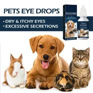 10ml Pet Tear Stain Remover – Daily Eye Cleaning for Dogs