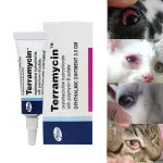 Pet Eye Ointment – Corneal Inflammation Treatment for Dogs and Cats