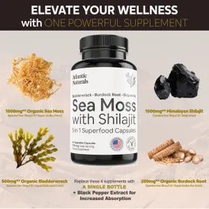 Sea Moss with Shilajit 5-in-1 Superfood