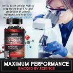 Taoters Amino Acid Extreme
