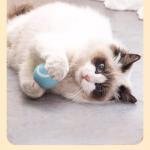 Automatic Interactive Cat Toy – Rechargeable Rolling Electric Ball