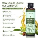 100ml Jojoba Oil – Moisturizing Body Massage, SPA, Smooth Nail Care, Natural Organic Carrier Oil