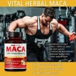 Vital Herbal Maca Ashwagandha + Panax Ginseng