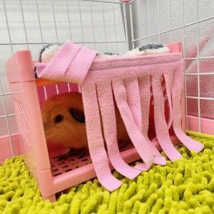 Hide House Bed Tassel Curtain – Soft, Washable Accessory for Guinea Pig Cages