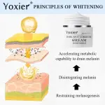 Yoxier Dark Spots Corrector Cream