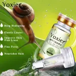 Yoxier Snails Six Peptide Concentrate Serum